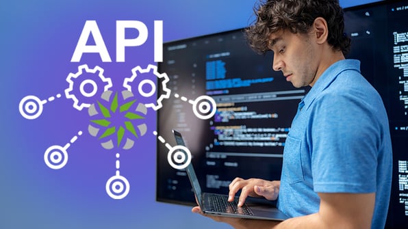 MSP-API