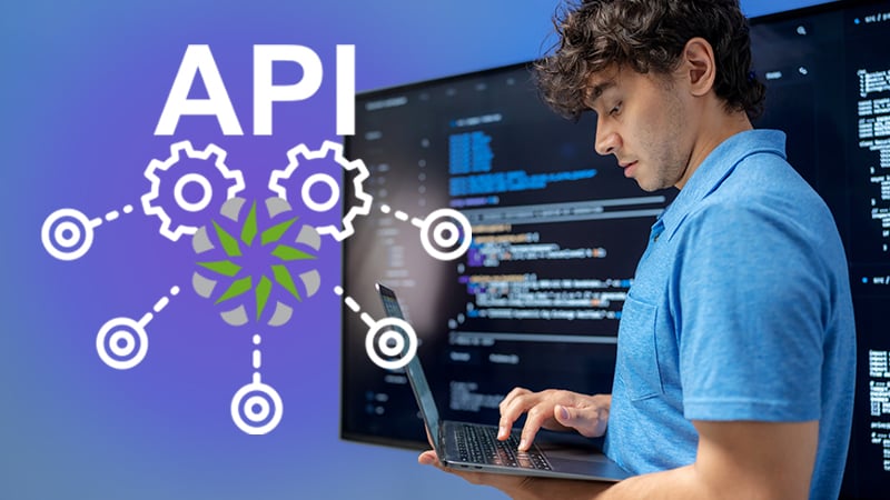 MSP-API